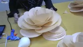 Камелия. Закрытая трансляция из мастерской