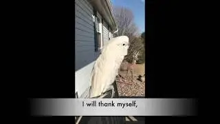 Daily Affirmations with Benjamin