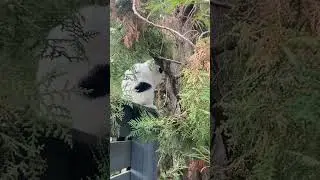 Утро    Израиль.   Хайфа /10/2023