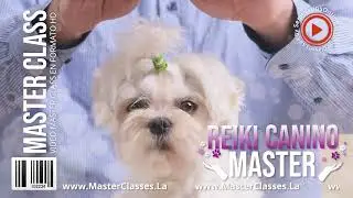 Reiki Canino Master