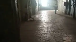 мэлз обычный железный пол
