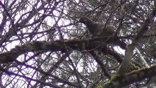 Встречаю весну в деревне