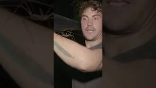 Would you touch this arachnid? Last Eden 