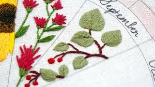 Phenology Wheel, Video 10 - September
