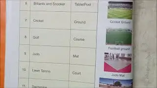 Sports and their playground