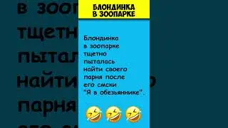 БЛОНДИНКА В ЗООПАРКЕ 😎 Самые смешные анекдоты про блондинок #shorts