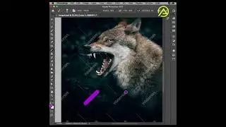 How to Remove Watermark in Photoshop 