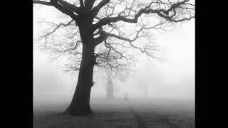 Spiritual Medley: Motherless Child and Wayfaring Stranger
