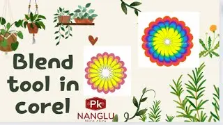 Blend tool in corel draw | corel draw tutorial(nanglupk1459)