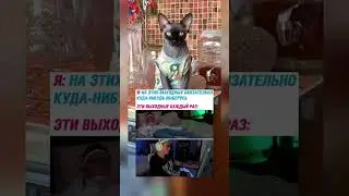 А ты уже выбрался?