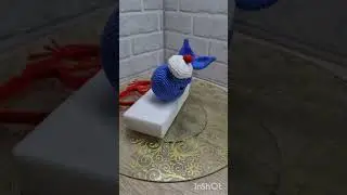 Китёнок крючком Shorts