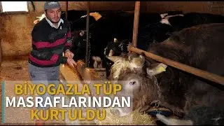 Biyogazla tüp masrafından kurtuldu