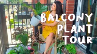 SUMMERTIME IN NYC | Balcony Plant Tour ☀️