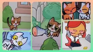 Кошачья жизнь // песня не моя