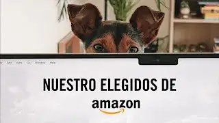 Favoritos de Amazon para viajar con perros (Parte 1)