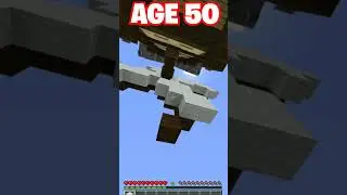 House at Different Age 🤯 (World's Smallest Violin) #shorts #minecraft