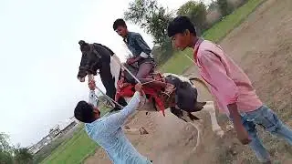જયંતિ ઉસ્તાદ લીંબડીયા