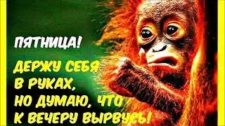 А я к ПЯТНИЦЕ готова!!! РЖАЧНЫЙ анекдот дня.