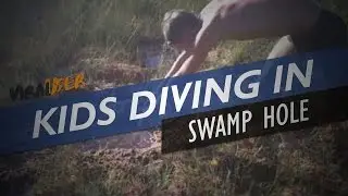 Kids Diving Into A Swamp Hole