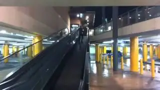 Paulys fight retaliation