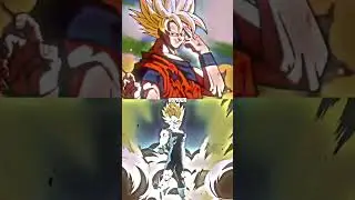 Goku vs vegeta