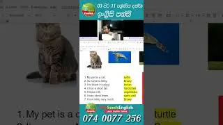 03 සිට 11 ශ්‍රේණිය දක්වා සිසුන් වෙනුවෙන් 2023 ඉංග්‍රීසි පන්ති #shorts