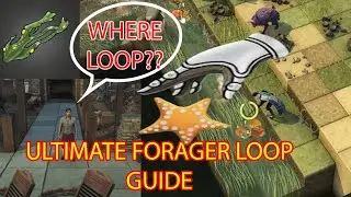 LOOPING Foraging Guide (STRATS to Efficiently PUSH 200+!!)