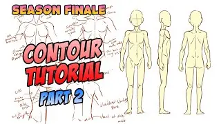 How To Draw Contours Part 2 | Anime & Manga Tutorial