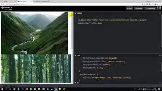 Курс HTML5 и CSS3. CSS фильтры (filter)