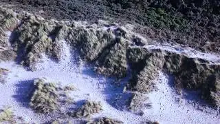 Zeeland, The Netherlands | Aerial View drone