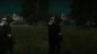 Witcher 3 RT Comparison - Night