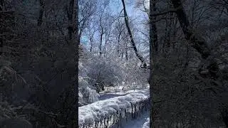 SNOW