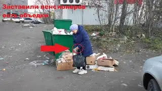 ПОДОПЕЧНЫХ РЕАБИЛИТАЦИОННОГО ФОНДА НАКОРМИЛИ ОБЪЕДКАМИ