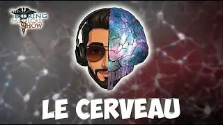 100% OF YOUR BRAIN ! - ANATOMY - BMShow