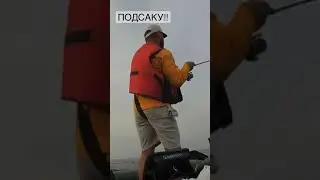 🎣Таких ми топимо… #shorts