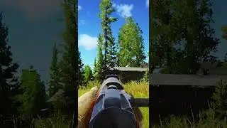 OUTPLAYING CHADS IN EFT