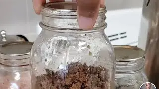 canning went well