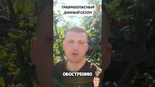 ТРАВМООПАСНЫЙ ДАЧНЫЙ СЕЗОН