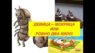 Девица - мокрица или ровно два кило.