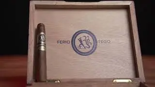 Ferio Tego Summa Cigar Review