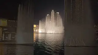 21 октября 2024 г.