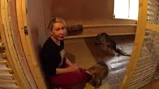 Приют для животных. Ника, Плюшка, Амели и котейки!!!!