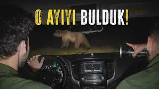 O AYIYI BULDUK! GECE SAFARİSİ