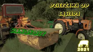 🐄 SIANOKOSY 🐄 | KOSZENIE I PRZETRZĄSANIE TRAWY | DZIERŻAWA OD SĄSIADA! 👨🏻‍🌾 | Farming Simulator 2019