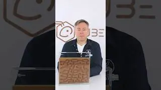 Fertiges Gangsystem🐜 in Digfix