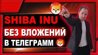 НЕ АКТУАЛЬНО! SHIBA INU без вложений в телеграмм боте | Как заработать Shiba Inu