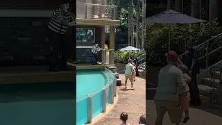 Can’t miss unexpected moment 😳😂 Mime Seaworld Tom #seaworldmime #funny