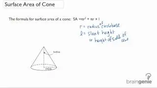 3.2 Surface Area of Cone