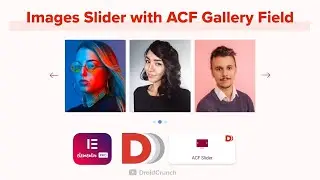 How to use ACF Gallery Slider Widget Dynamic.ooo: Tutorial