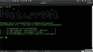 Creating a payload using msfvenom (Part 13)